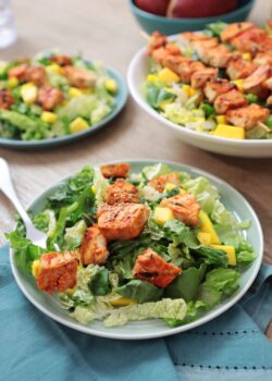 Grilled-chicken-salad-gochujang-honey-dressing